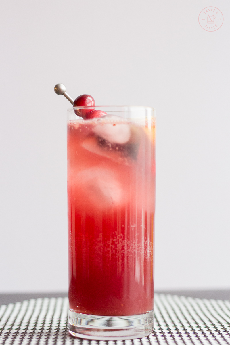 Cranberry Gin Fizz | Taste and Tipple