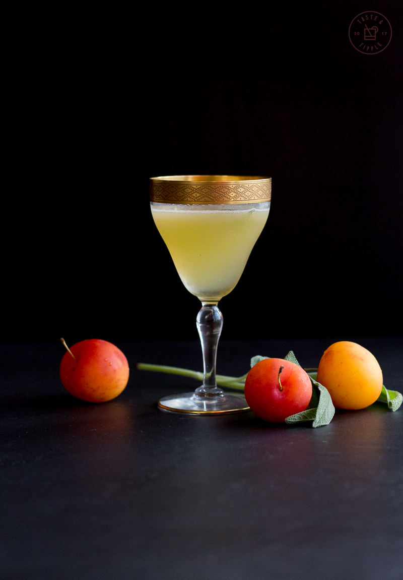 Pisco, Plum & Sage Cocktail | Taste and Tipple