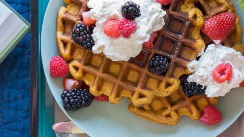 Cozy Gingerbread Waffles – A Couple Cooks