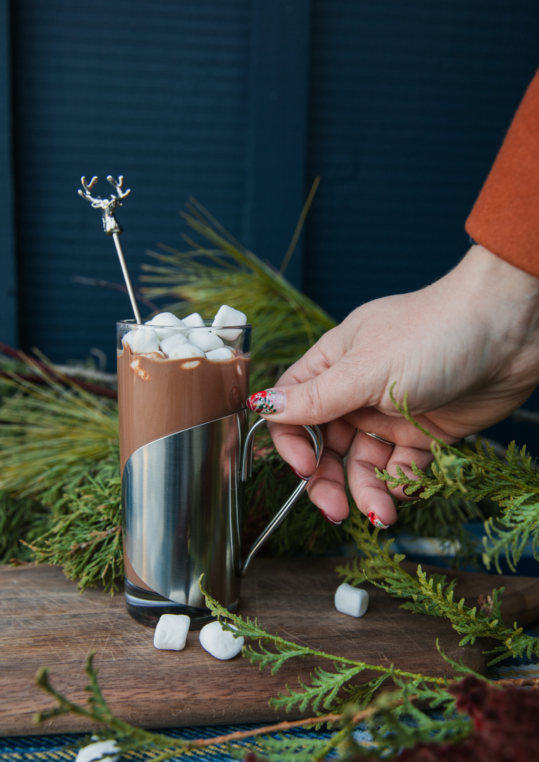 Comet's Hot Cocoa | Taste and Tipple